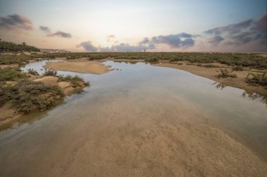 Deniz kenarında sığ bir gölü olan kumlu bir sahil. Akşamları verimsiz manzara çekimleri. Playa de Sotavento de Janda, Fuerteventura, Kanarya Adaları, İspanya