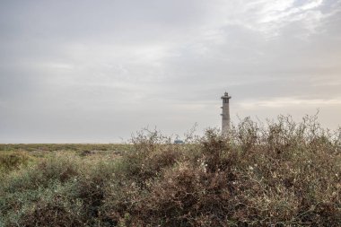 Doğa koruma alanında deniz feneriyle çekilen alacakaranlık manzarası. Gün batımında deniz manzarası. Hafif bir Kalima sırasında deniz feneri, Morro Jable 'da kum fırtınası, Fuerteventura, Kanarya Adaları, İspanya