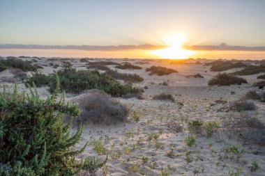Corralejo 'da bir caddenin üzerindeki gökkuşağı, Las Palmas Eyaleti, Fuerteventura, Kanarya Adaları, İspanya
