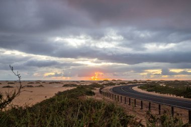 Kumulların arasında bir yolda güzel bir sabah. Bulutlu bir yolda gün doğumu. Corralejo Ulusal Parkı, Kanarya Adaları, İspanya