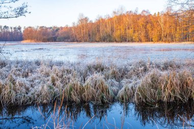 Güneşin doğuşuyla birlikte kış manzarası. Kışın çayır ve durgun su. Buz kristalleri ve güneş ışığında sıcak renkler. Frankfurt Havalimanı 'nda doğa rezervi ve açık alanlar Hesse..