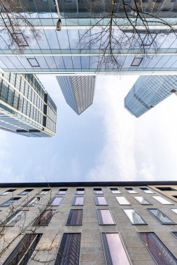 Sabahleyin ufuk çizgisinin ortasına bak. Yüksek binalar ve gündoğumunda modern cam cepheler. Şehrin ve çevresinin manzarası çok güzel. Özel bir renkle, Frankfurt am Main, Hesse