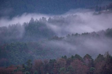 Manzara görüntüsü, bulutlu gökyüzü ve vadide sis. Ormanın ve doğanın ortasındaki bir kayanın manzarası. Derebeyi Ormanı, Almanya 'da Sabah Görüş Alanı