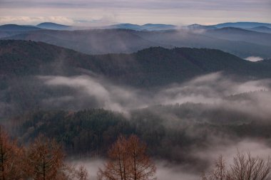 Manzara görüntüsü, bulutlu gökyüzü ve vadide sis. Ormanın ve doğanın ortasındaki bir kayanın manzarası. Derebeyi Ormanı, Almanya 'da Sabah Görüş Alanı