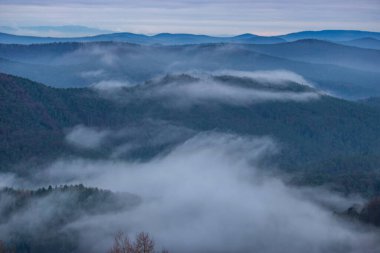 Manzara görüntüsü, bulutlu gökyüzü ve vadide sis. Ormanın ve doğanın ortasındaki bir kayanın manzarası. Derebeyi Ormanı, Almanya 'da Sabah Görüş Alanı