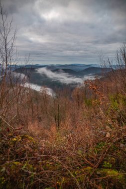 Manzara görüntüsü, bulutlu gökyüzü ve vadide sis. Ormanın ve doğanın ortasındaki bir kayanın manzarası. Derebeyi Ormanı, Almanya 'da Sabah Görüş Alanı