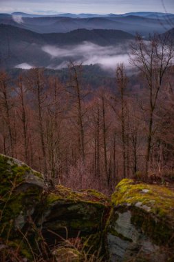 Manzara görüntüsü, bulutlu gökyüzü ve vadide sis. Ormanın ve doğanın ortasındaki bir kayanın manzarası. Derebeyi Ormanı, Almanya 'da Sabah Görüş Alanı