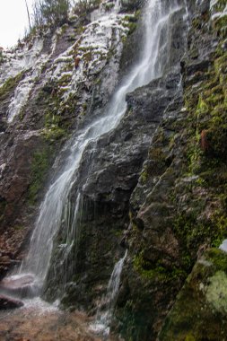 Buz ve kardaki şelale. Yosun ve yosunlu bir uçurumun üzerindeki kış manzarası. Buz saçakları ve şelaleli. Almanya, Kara Orman 'daki güzel kozalaklı orman.