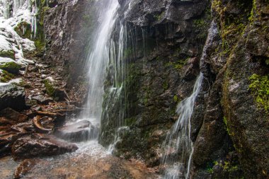Buz ve kardaki şelale. Yosun ve yosunlu bir uçurumun üzerindeki kış manzarası. Buz saçakları ve şelaleli. Almanya, Kara Orman 'daki güzel kozalaklı orman.
