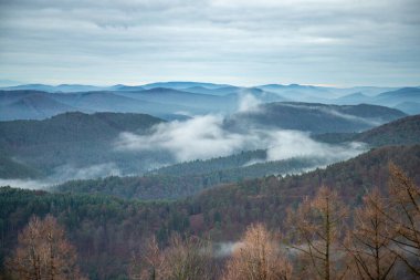 Ormanın ortasındaki kumtaşından bir uçurumun manzarası. Bir vadide sisle kaplanmış bir ormanın üzerinde muhteşem bir manzara. Almanya 'nın Derebeyi Ormanı' nda Gün Doğumu.