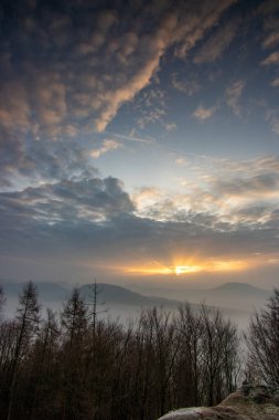 Ormanın ortasındaki kumtaşından bir uçurumun manzarası. Bir vadide sisle kaplanmış bir ormanın üzerinde muhteşem bir manzara. Almanya 'nın Derebeyi Ormanı' nda Gün Doğumu.