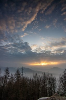 Ormanın ortasındaki kumtaşından bir uçurumun manzarası. Bir vadide sisle kaplanmış bir ormanın üzerinde muhteşem bir manzara. Almanya 'nın Derebeyi Ormanı' nda Gün Doğumu.