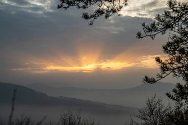 Ormanın ortasındaki kumtaşından bir uçurumun manzarası. Bir vadide sisle kaplanmış bir ormanın üzerinde muhteşem bir manzara. Almanya 'nın Derebeyi Ormanı' nda Gün Doğumu.