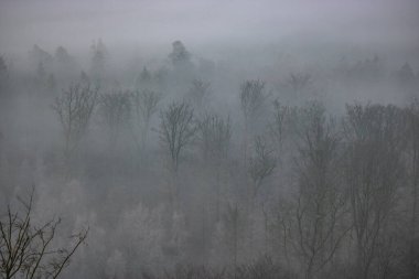 Ormanın ortasındaki kumtaşından bir uçurumun manzarası. Bir vadide sisle kaplanmış bir ormanın üzerinde muhteşem bir manzara. Almanya 'nın Derebeyi Ormanı' nda Gün Doğumu.