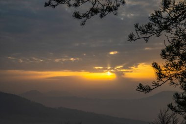 Ormanın ortasındaki kumtaşından bir uçurumun manzarası. Bir vadide sisle kaplanmış bir ormanın üzerinde muhteşem bir manzara. Almanya 'nın Derebeyi Ormanı' nda Gün Doğumu.