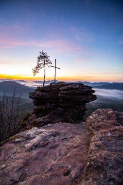 Zirve, ormanın ortasında bir kumtaşı kayası üzerinde kesişiyor. Sis kaplı bir ormanın üzerindeki muhteşem manzaralı manzara. Almanya 'nın Derebeyi Ormanı' nda Gün Doğumu
