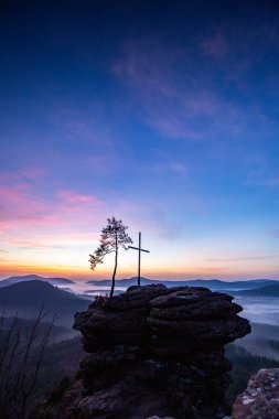 Zirve, ormanın ortasında bir kumtaşı kayası üzerinde kesişiyor. Sis kaplı bir ormanın üzerindeki muhteşem manzaralı manzara. Almanya 'nın Derebeyi Ormanı' nda Gün Doğumu