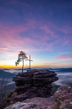 Zirve, ormanın ortasında bir kumtaşı kayası üzerinde kesişiyor. Sis kaplı bir ormanın üzerindeki muhteşem manzaralı manzara. Almanya 'nın Derebeyi Ormanı' nda Gün Doğumu