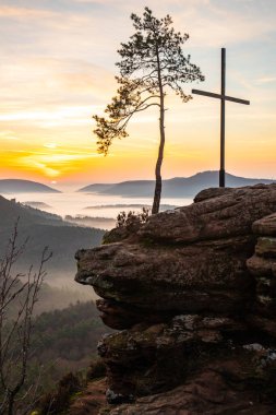 Zirve, ormanın ortasında bir kumtaşı kayası üzerinde kesişiyor. Sis kaplı bir ormanın üzerindeki muhteşem manzaralı manzara. Almanya 'nın Derebeyi Ormanı' nda Gün Doğumu