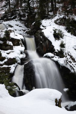 Çok özel bir cazibe de kar ve buzdaki şelalelerdir. Almanya, Triberg 'deki en yüksek şelale.