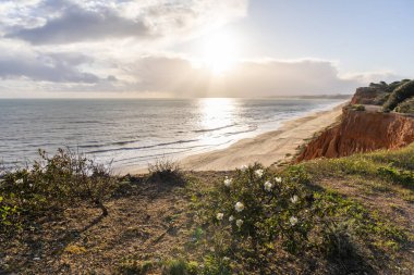 Praia da Falsia 'nın altın kumlu plajı. Karakteristik turuncu uçurumları. Akşam üzeri Portekiz' in Algarve kentindeki uçurumlarda çekilen manzara.