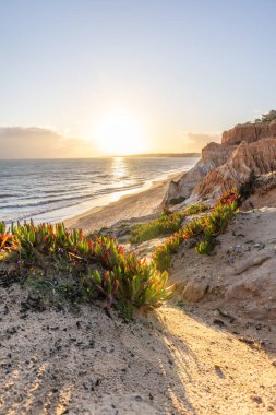 Atlantik Okyanusu 'nda çarpıcı oluşumları olan kayalıklar. Manzara çekiminde sıcak gün batımı. Sahilde ve denizde çarpıcı oluşumlara sahip kızıl kayalıklar, Praia da Falsia, Algarve, Portekiz