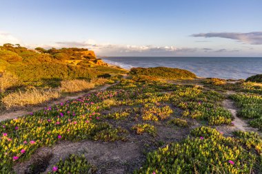Atlantik Okyanusu 'nda çarpıcı oluşumları olan kayalıklar. Manzara çekiminde sıcak gün batımı. Sahilde ve denizde çarpıcı oluşumlara sahip kızıl kayalıklar, Praia da Falsia, Algarve, Portekiz