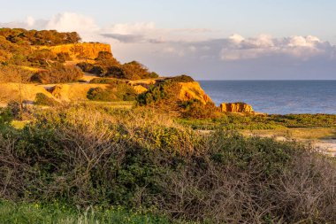 Atlantik Okyanusu 'nda çarpıcı oluşumları olan kayalıklar. Manzara çekiminde sıcak gün batımı. Sahilde ve denizde çarpıcı oluşumlara sahip kızıl kayalıklar, Praia da Falsia, Algarve, Portekiz