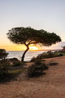 Atlantik Okyanusu 'nda çarpıcı oluşumları olan kayalıklar. Manzara çekiminde sıcak gün batımı. Sahilde ve denizde çarpıcı oluşumlara sahip kızıl kayalıklar, Praia da Falsia, Algarve, Portekiz