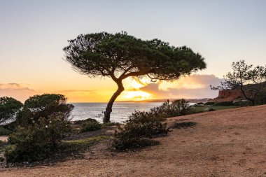 Atlantik Okyanusu 'nda çarpıcı oluşumları olan kayalıklar. Manzara çekiminde sıcak gün batımı. Sahilde ve denizde çarpıcı oluşumlara sahip kızıl kayalıklar, Praia da Falsia, Algarve, Portekiz