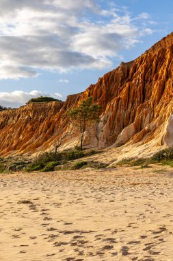Bir çakıl taşı ve kumsalda inanılmaz kaya oluşumu. Kızıl topraklı kızıl kayalıklar ve kumlu sahilde inanılmaz oluşumlar. Praia da Falsia, sıcak güneş ışığıyla yıkanmış, Algarve, Portekiz