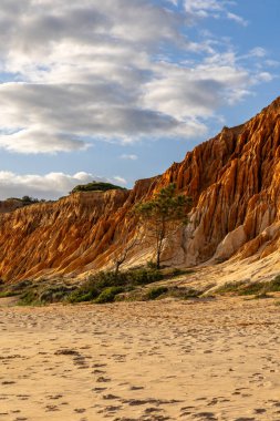 Bir çakıl taşı ve kumsalda inanılmaz kaya oluşumu. Kızıl topraklı kızıl kayalıklar ve kumlu sahilde inanılmaz oluşumlar. Praia da Falsia, sıcak güneş ışığıyla yıkanmış, Algarve, Portekiz