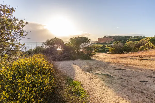 Atlantik Okyanusu 'nda çarpıcı oluşumları olan kayalıklar. Manzara çekiminde sıcak gün batımı. Sahilde ve denizde çarpıcı oluşumlara sahip kızıl kayalıklar, Praia da Falsia, Algarve, Portekiz