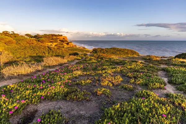 Atlantik Okyanusu 'nda çarpıcı oluşumları olan kayalıklar. Manzara çekiminde sıcak gün batımı. Sahilde ve denizde çarpıcı oluşumlara sahip kızıl kayalıklar, Praia da Falsia, Algarve, Portekiz