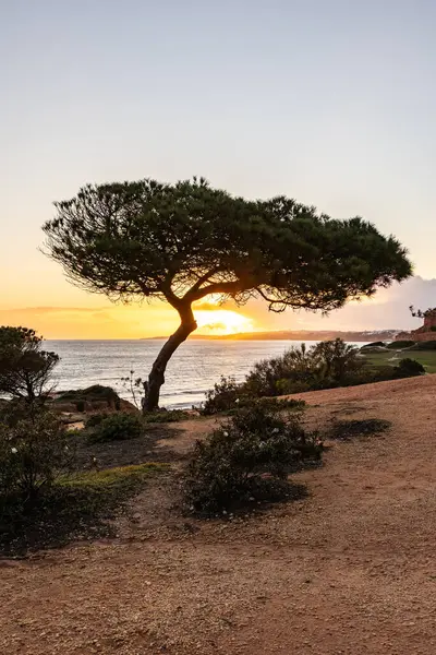 Atlantik Okyanusu 'nda çarpıcı oluşumları olan kayalıklar. Manzara çekiminde sıcak gün batımı. Sahilde ve denizde çarpıcı oluşumlara sahip kızıl kayalıklar, Praia da Falsia, Algarve, Portekiz