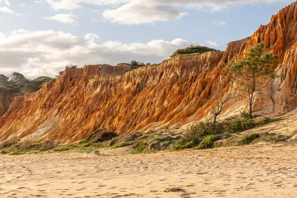 Bir çakıl taşı ve kumsalda inanılmaz kaya oluşumu. Kızıl topraklı kızıl kayalıklar ve kumlu sahilde inanılmaz oluşumlar. Praia da Falsia, sıcak güneş ışığıyla yıkanmış, Algarve, Portekiz