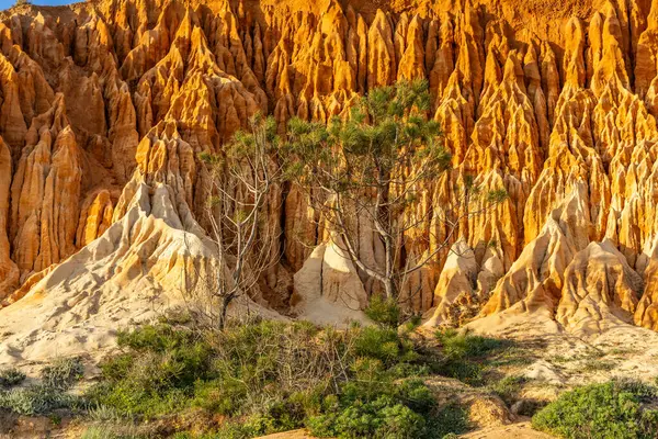 Bir çakıl taşı ve kumsalda inanılmaz kaya oluşumu. Kızıl topraklı kızıl kayalıklar ve kumlu sahilde inanılmaz oluşumlar. Praia da Falsia, sıcak güneş ışığıyla yıkanmış, Algarve, Portekiz