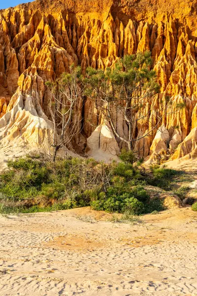 Bir çakıl taşı ve kumsalda inanılmaz kaya oluşumu. Kızıl topraklı kızıl kayalıklar ve kumlu sahilde inanılmaz oluşumlar. Praia da Falsia, sıcak güneş ışığıyla yıkanmış, Algarve, Portekiz