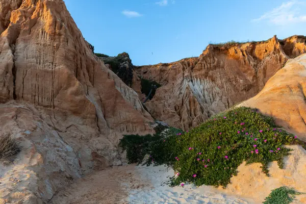 Bir çakıl taşı ve kumsalda inanılmaz kaya oluşumu. Kızıl topraklı kızıl kayalıklar ve kumlu sahilde inanılmaz oluşumlar. Praia da Falsia, sıcak güneş ışığıyla yıkanmış, Algarve, Portekiz