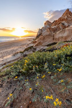 Praia da Falsia 'nın altın kumlu plajı. Karakteristik turuncu uçurumları. Akşam üzeri Portekiz' in Algarve kentindeki uçurumlarda çekilen manzara.