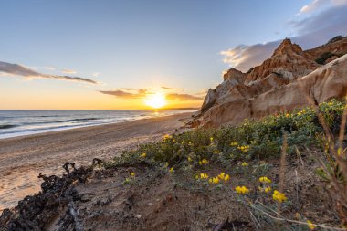 Praia da Falsia 'nın altın kumlu plajı. Karakteristik turuncu uçurumları. Akşam üzeri Portekiz' in Algarve kentindeki uçurumlarda çekilen manzara.