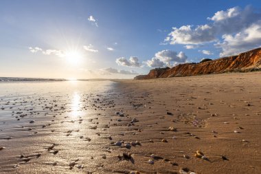 Praia da Falsia 'nın altın kumlu plajı, gökyüzünün yansıması ile kristal berraklığında deniz suyu, batan güneş, ve karakteristik turuncu kayalıklar, Algarve, Portekiz