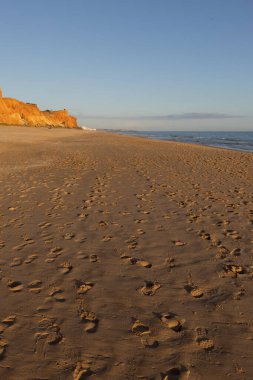 Praia da Falsia 'nın altın kumlu plajı. Karakteristik turuncu uçurumları. Akşam üzeri Portekiz' in Algarve kentindeki uçurumlarda çekilen manzara.