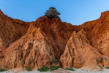 Praia da Falsia 'nın altın kumlu plajı. Karakteristik turuncu uçurumları. Akşam üzeri Portekiz' in Algarve kentindeki uçurumlarda çekilen manzara.
