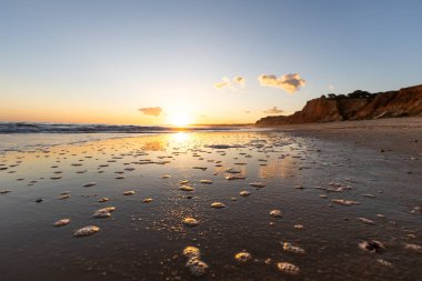 Kızıl kayalıkları ve kayalıkları olan güzel kumlu bir sahil. Gün batımında Praia do Poo Velho, Praia da Falsia, Algarve, Portekiz 'deki Atlantik kıyısının sığ ve sakin sularında yansımalar görülecek.