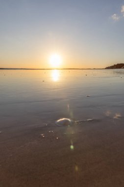 Atlantik 'in sakin sularında deniz akıntısı azalıyor. Praia do Poo Velho, Praia da Falsia, Quarteira, Algarve, Portekiz uçurumlarındaki gün batımının manzarası.
