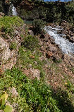 Doğanın kalbinde bir şelale, ilkbaharda güzel bir nehir ve şelale. Queda do Vigrio şelalesi Alte, Algarve, Portekiz yakınlarında.