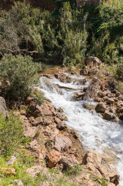 Doğanın kalbinde bir şelale, ilkbaharda güzel bir nehir ve şelale. Queda do Vigrio şelalesi Alte, Algarve, Portekiz yakınlarında.