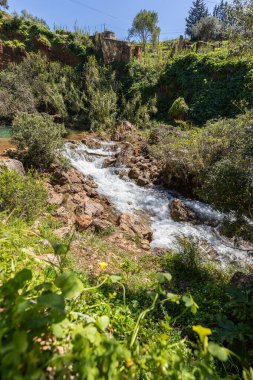 Doğanın kalbinde bir şelale, ilkbaharda güzel bir nehir ve şelale. Queda do Vigrio şelalesi Alte, Algarve, Portekiz yakınlarında.