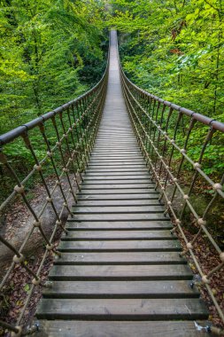 Bir vadi üzerindeki ahşap asma köprü, Alman ormanındaki güzel doğa ve ağaçlar.